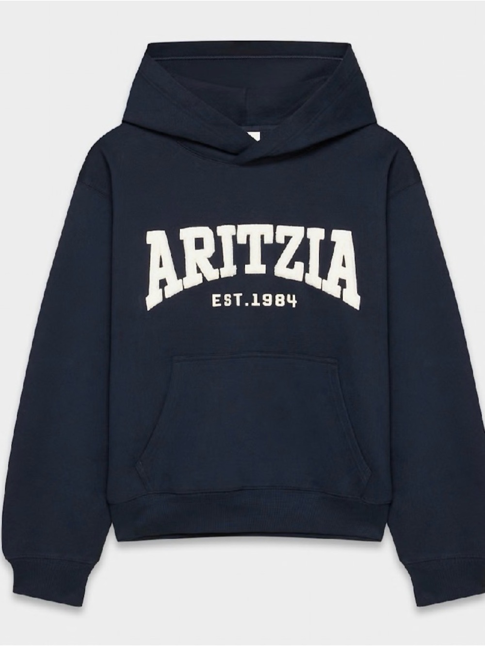 Aritzia Navy Hoodie with White Chenille Logo - Picture 5 of 6
